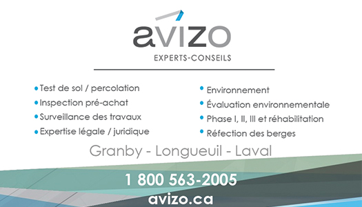 Avizo Experts-conseils
